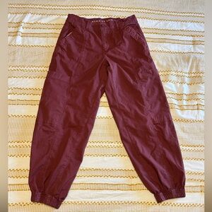 American Eagle Burgundy Cargo Pants